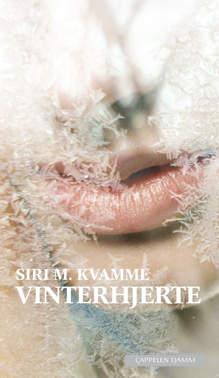 Omslag Vinterhjerte av Siri M. Kvamme (Ebok)
