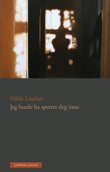 Omslag av "Jeg burde ha sperret deg inne"