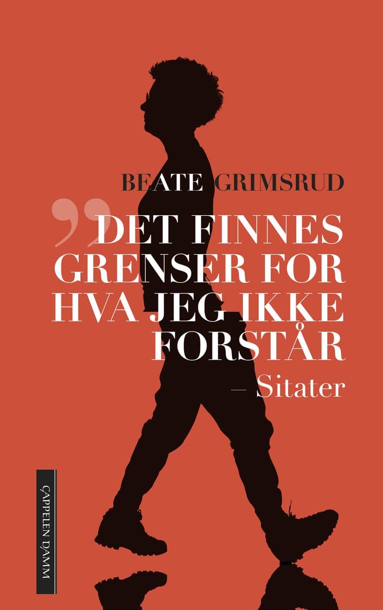 Omslag Det finnes grenser for hva jeg ikke forstår av Beate Grimsrud (Ebok)