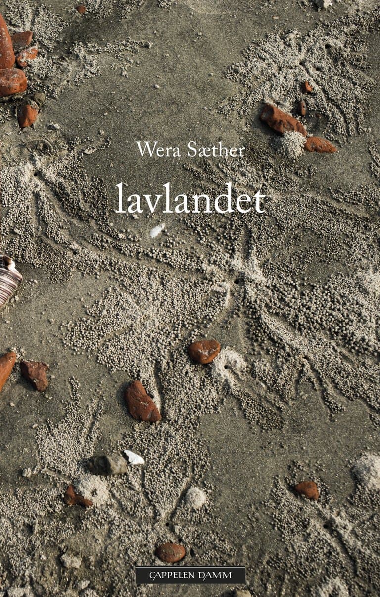 Omslag Lavlandet av Wera Sæther (Ebok)