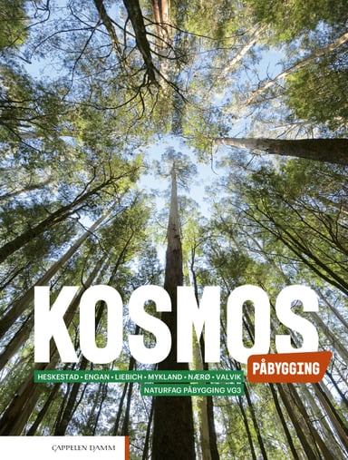 Omslag av "Kosmos Påbygging (2022)"