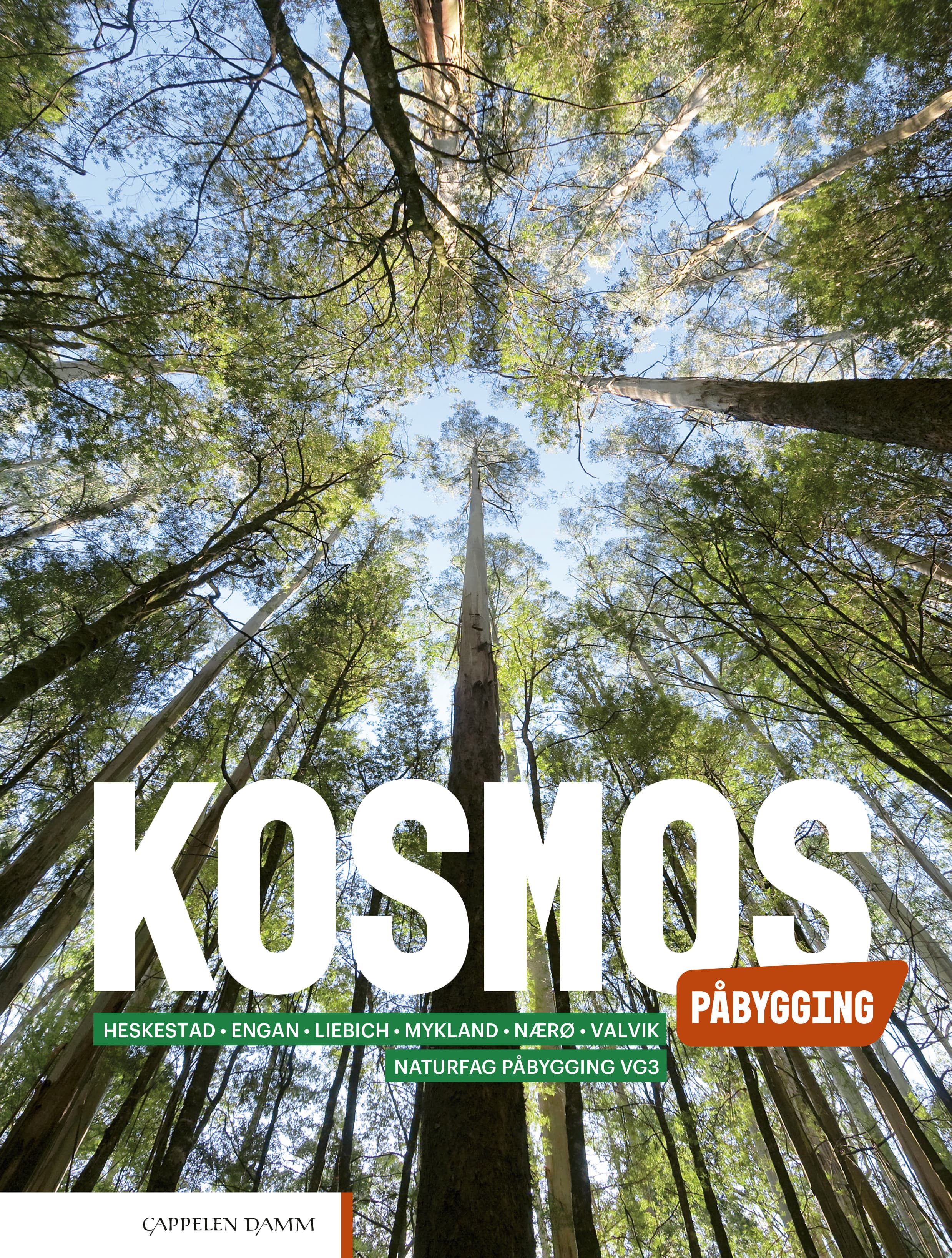 Omslag Kosmos Påbygging (2022) av Heskestad, Engan, Liebich, Mykland, Nærø og Valvik (Heftet)
