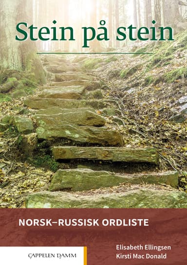 Stein på stein Norsk-russisk ordliste (2021)