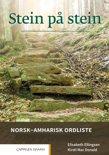 Omslag av "Stein på stein Norsk-amharisk ordliste"