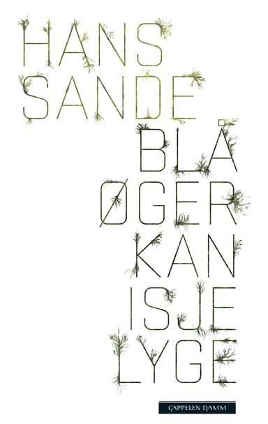 Omslag av "Blå øger kan isje lyge"