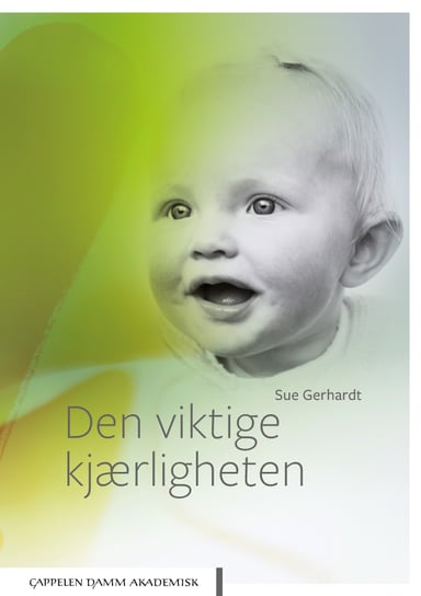 Omslag av "Den viktige kjærligheten"