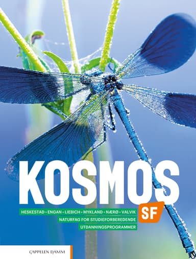Kosmos SF (2020)