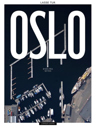 Oslo. Byen fra skyen