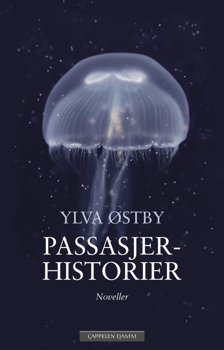 Omslag Passasjerhistorier av Ylva Østby (Innbundet)