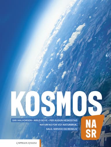 Kosmos NA, SR (2020)