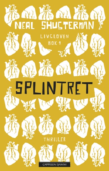 Omslag av "Splintret"