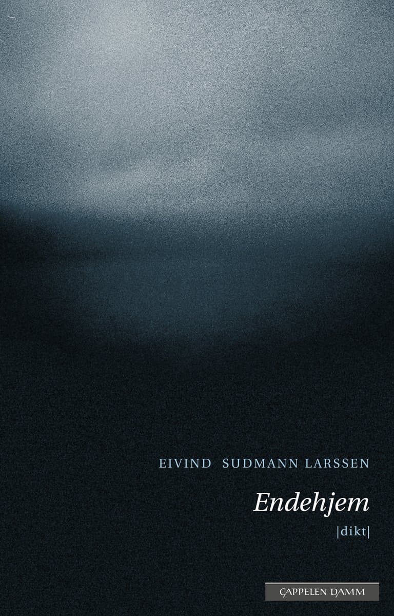 Omslag Endehjem av Eivind Sudmann Larssen (Ebok)