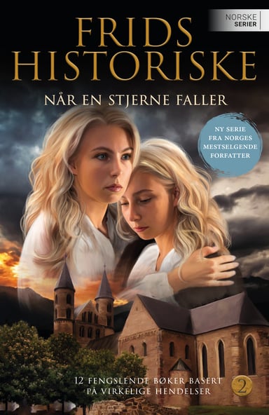 Omslag av "Når en stjerne faller"