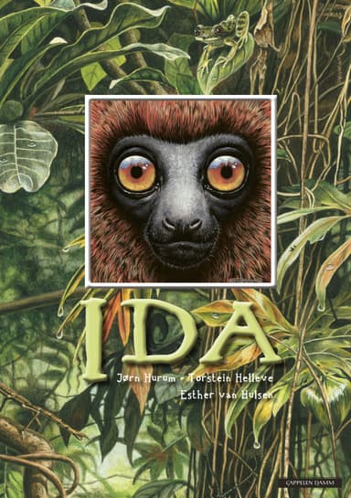 Ida (nynorsk)