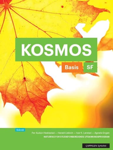 Kosmos SF Basis Arbeidsbok (2017)