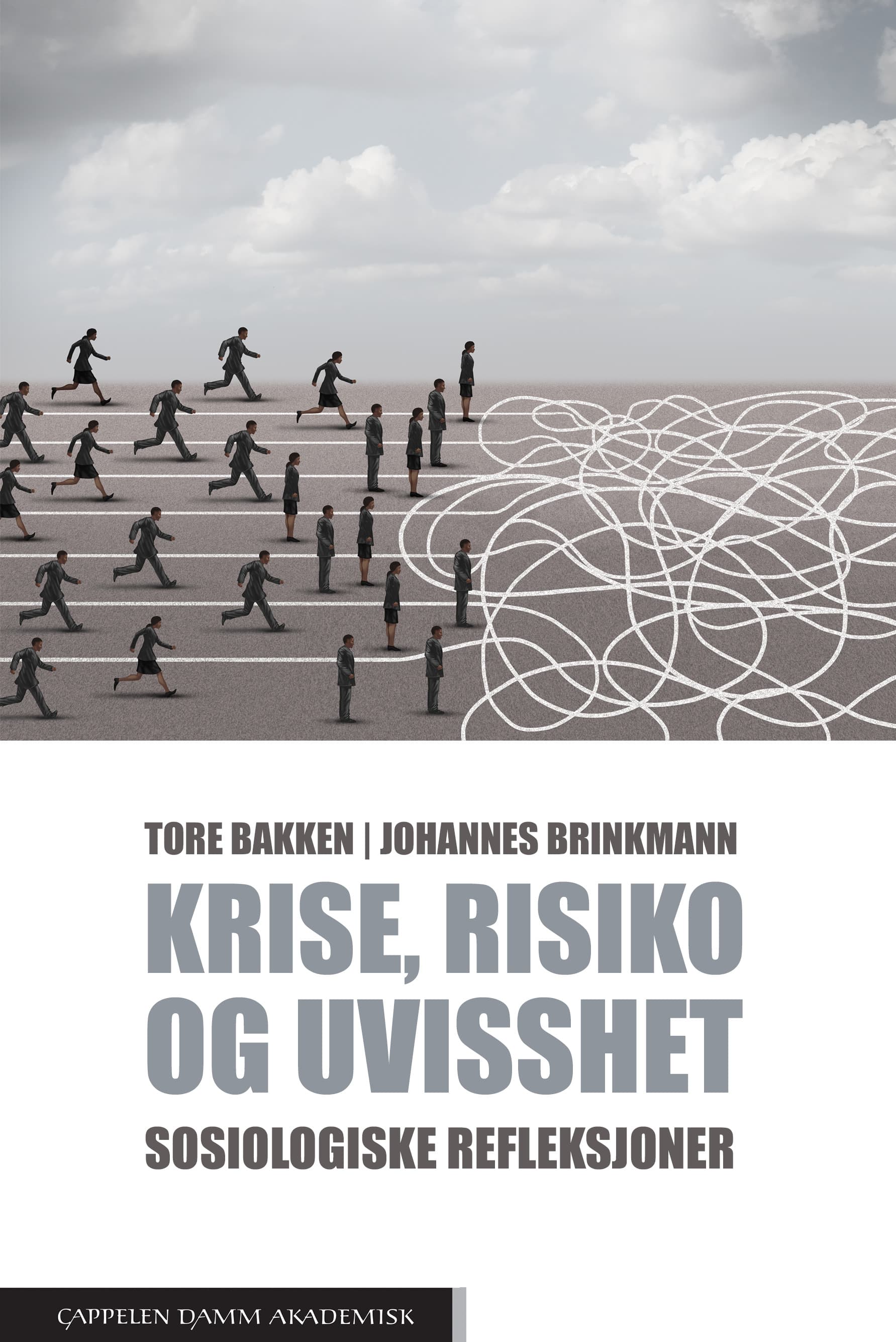 Omslag Krise, risiko og uvisshet av Tore Bakken og Johannes Brinkmann (Heftet)