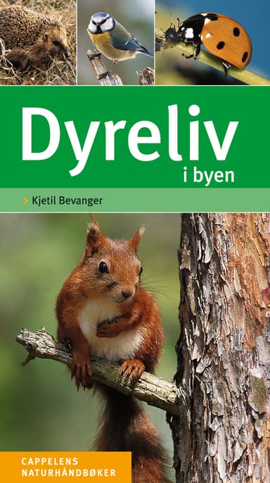 Dyreliv i byen