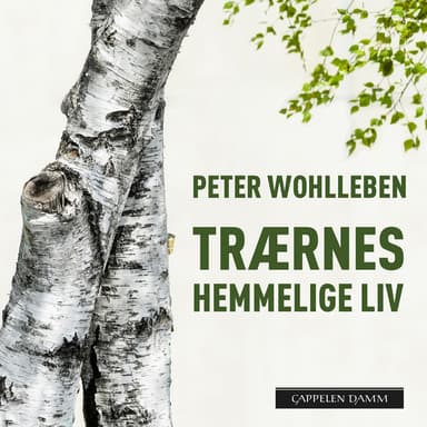 Trærnes hemmelige liv