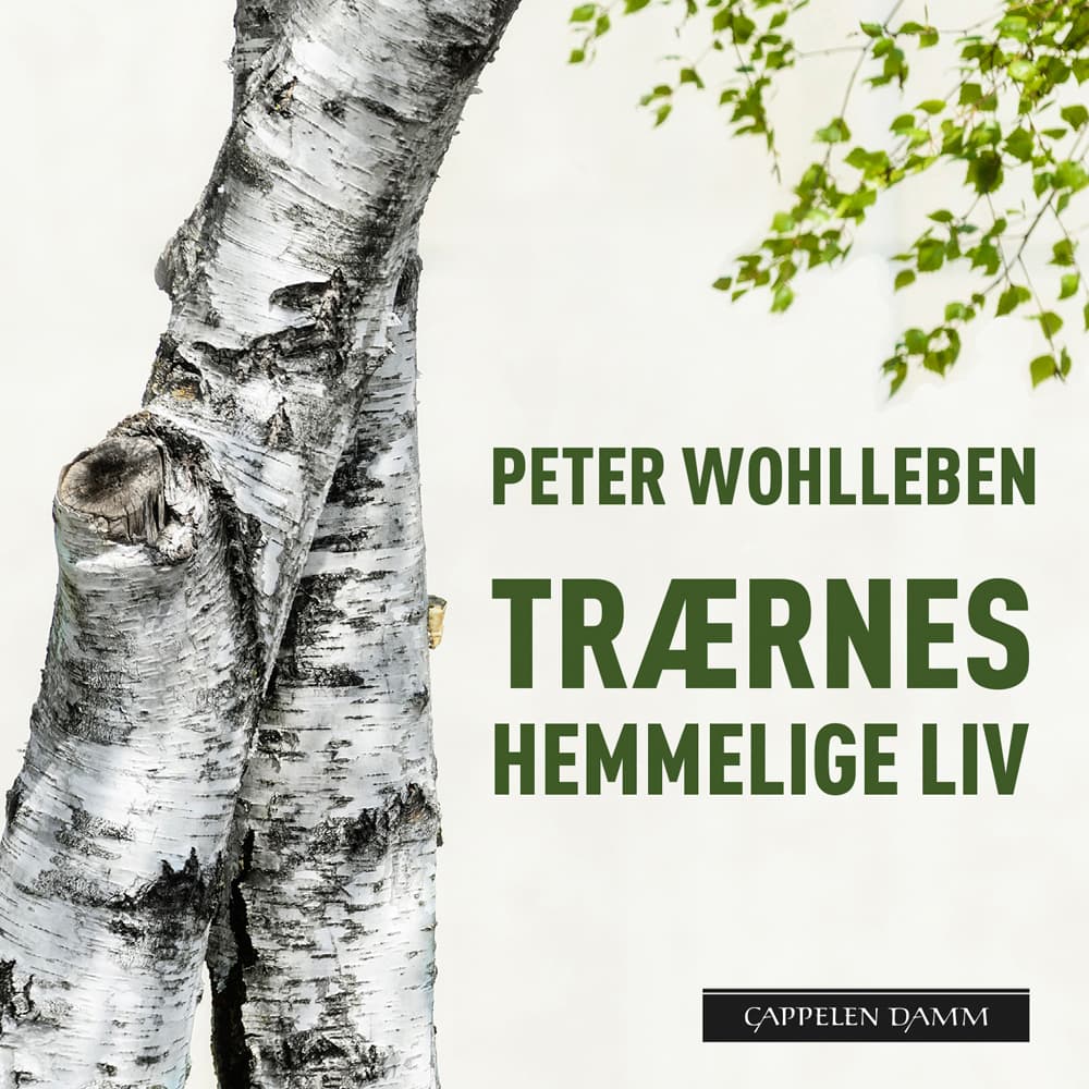 Omslag Trærnes hemmelige liv av Peter Wohlleben (Lydbok)