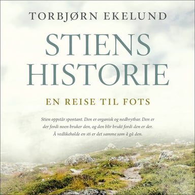 Omslag av "Stiens historie"