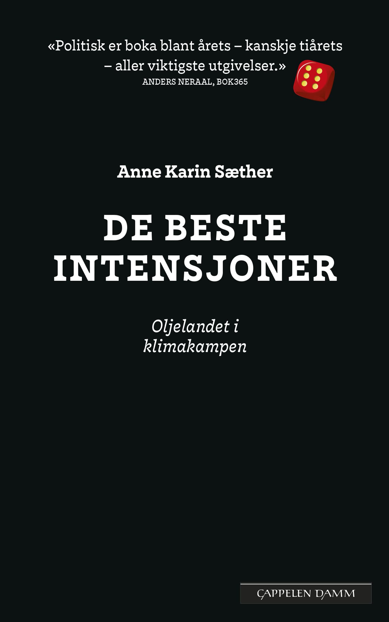 Omslag De beste intensjoner av Anne Karin Sæther (Innbundet)