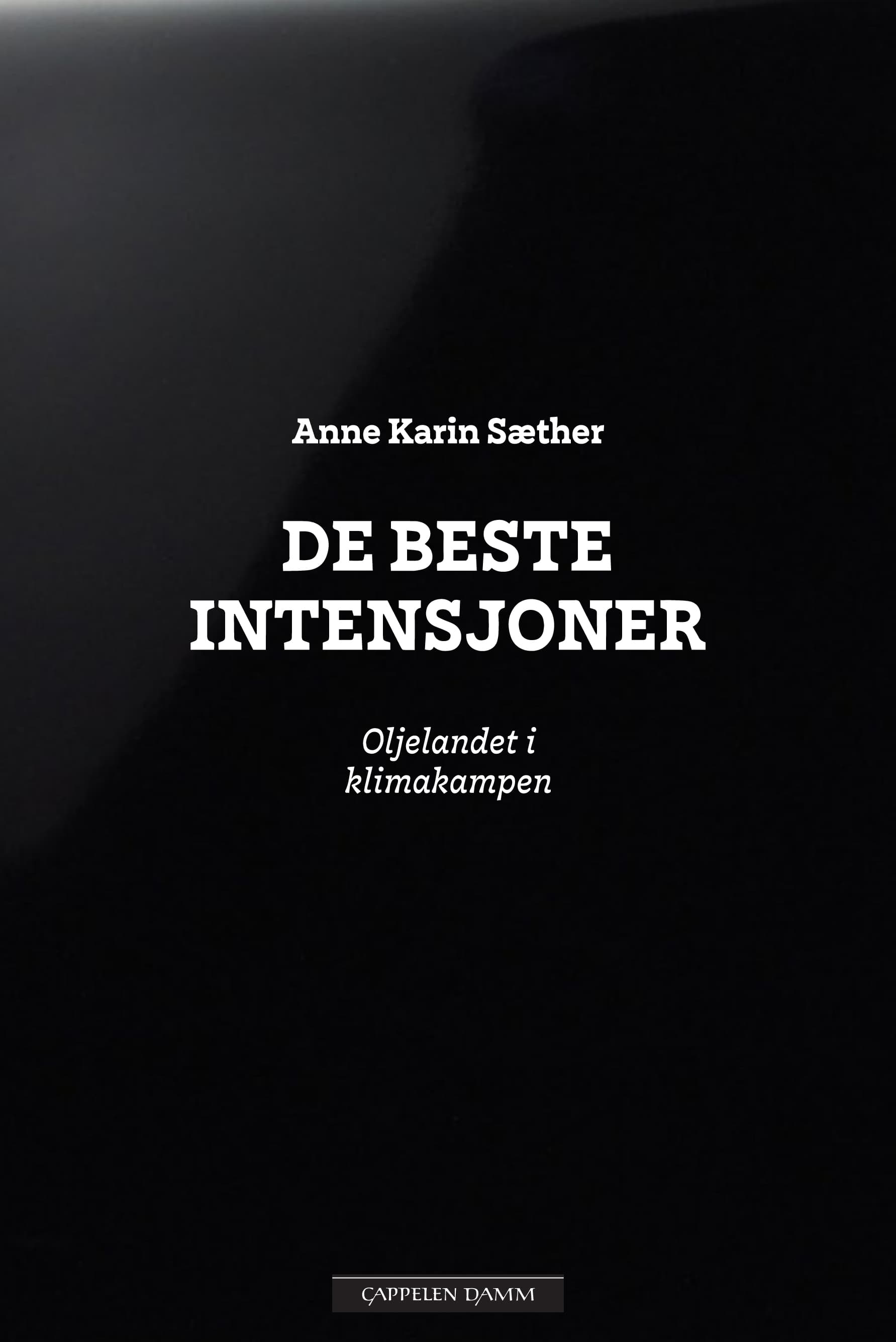 Omslag De beste intensjoner av Anne Karin Sæther (Ebok)