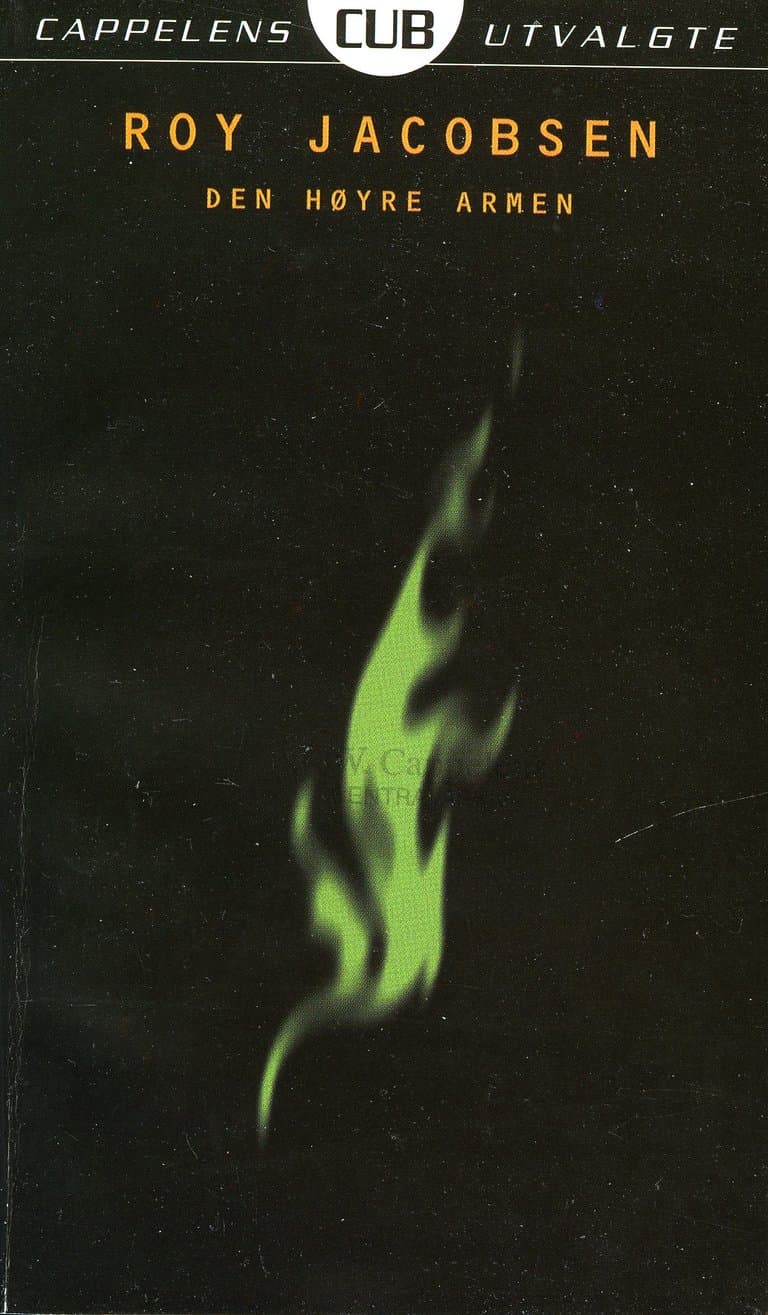 Omslag Den høyre armen av Roy Jacobsen (Ebok)