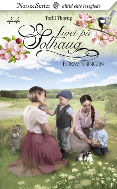 Omslag av "Forsvinningen"