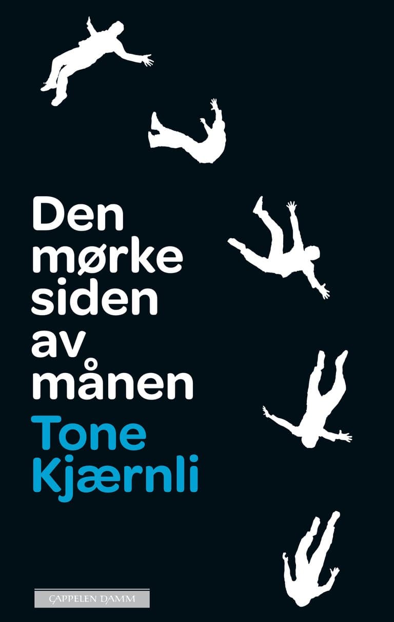 Omslag Den mørke siden av månen av Tone Kjærnli (Ebok)