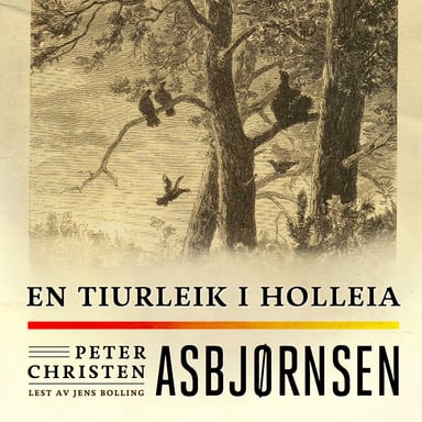 Omslag av "En tiurleik i Holleia"