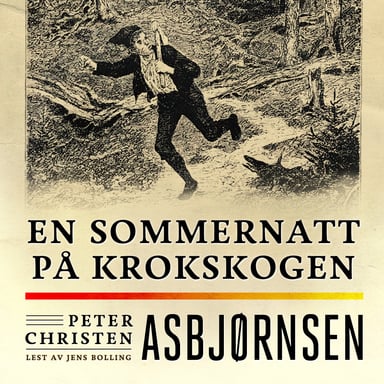 Omslag av "En sommernatt på Krokskogen"