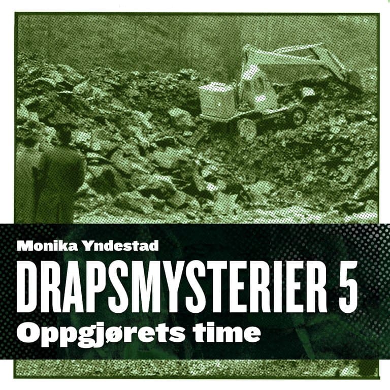 Omslag Oppgjørets time av Monika N. Yndestad (Lydbok)