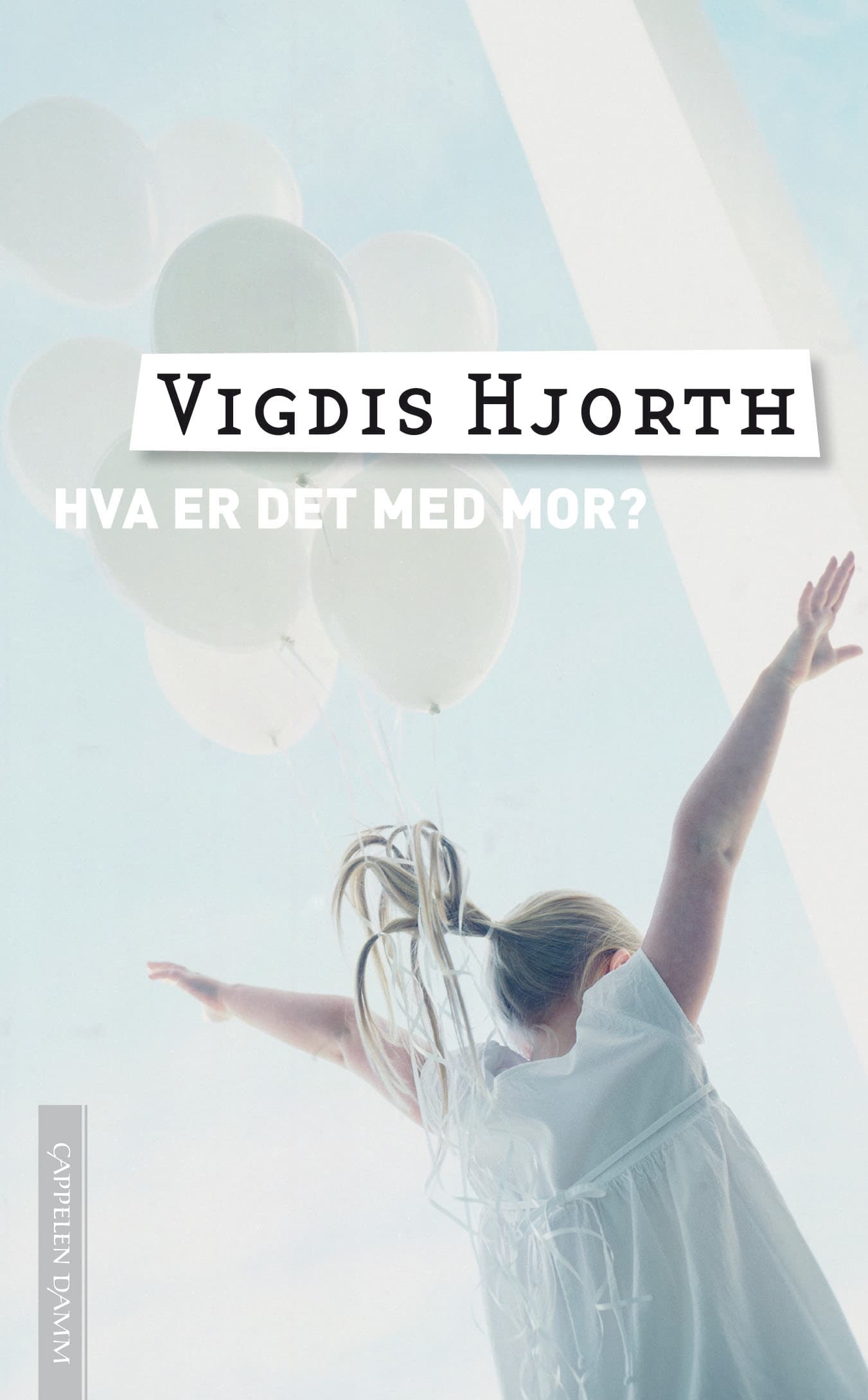 Omslag Hva er det med mor av Vigdis Hjorth (Ebok)