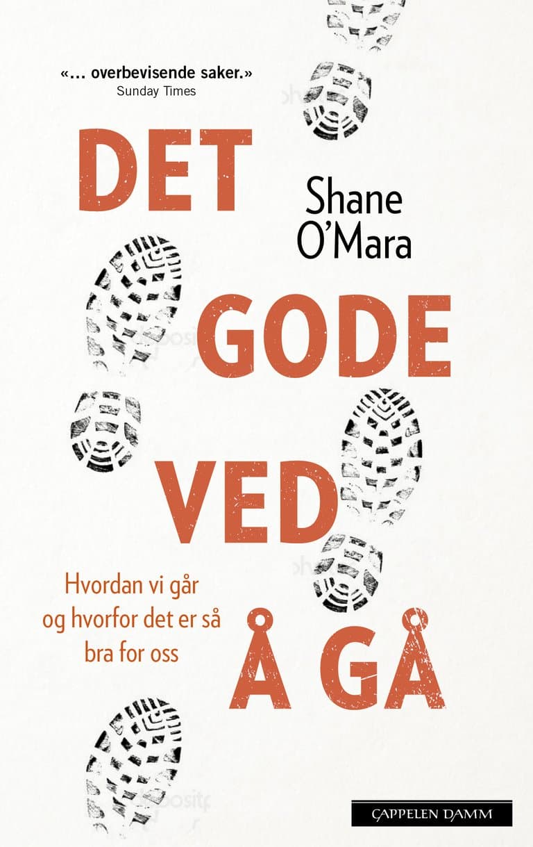 Omslag Det gode ved å gå av Shane O'Mara (Ebok)