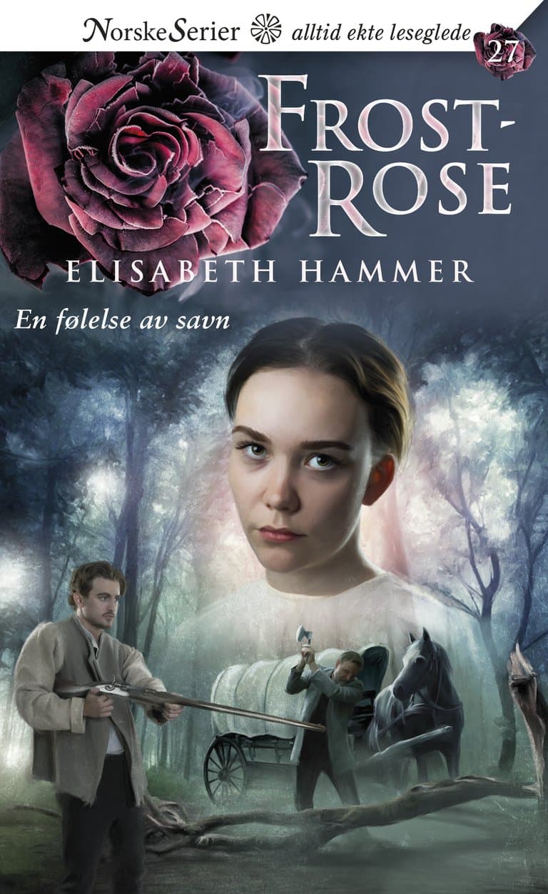 Omslag En følelse av savn av Elisabeth Hammer (Ebok)