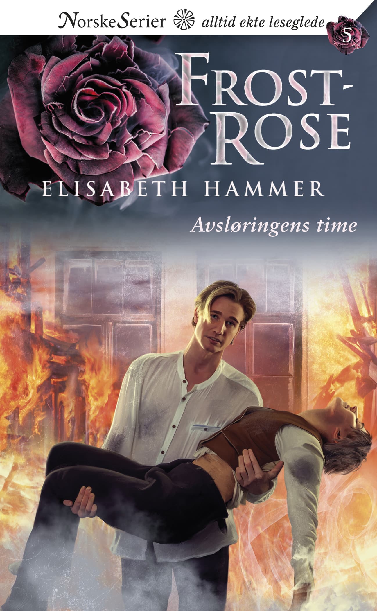 Omslag Avsløringens time av Elisabeth Hammer (Ebok)