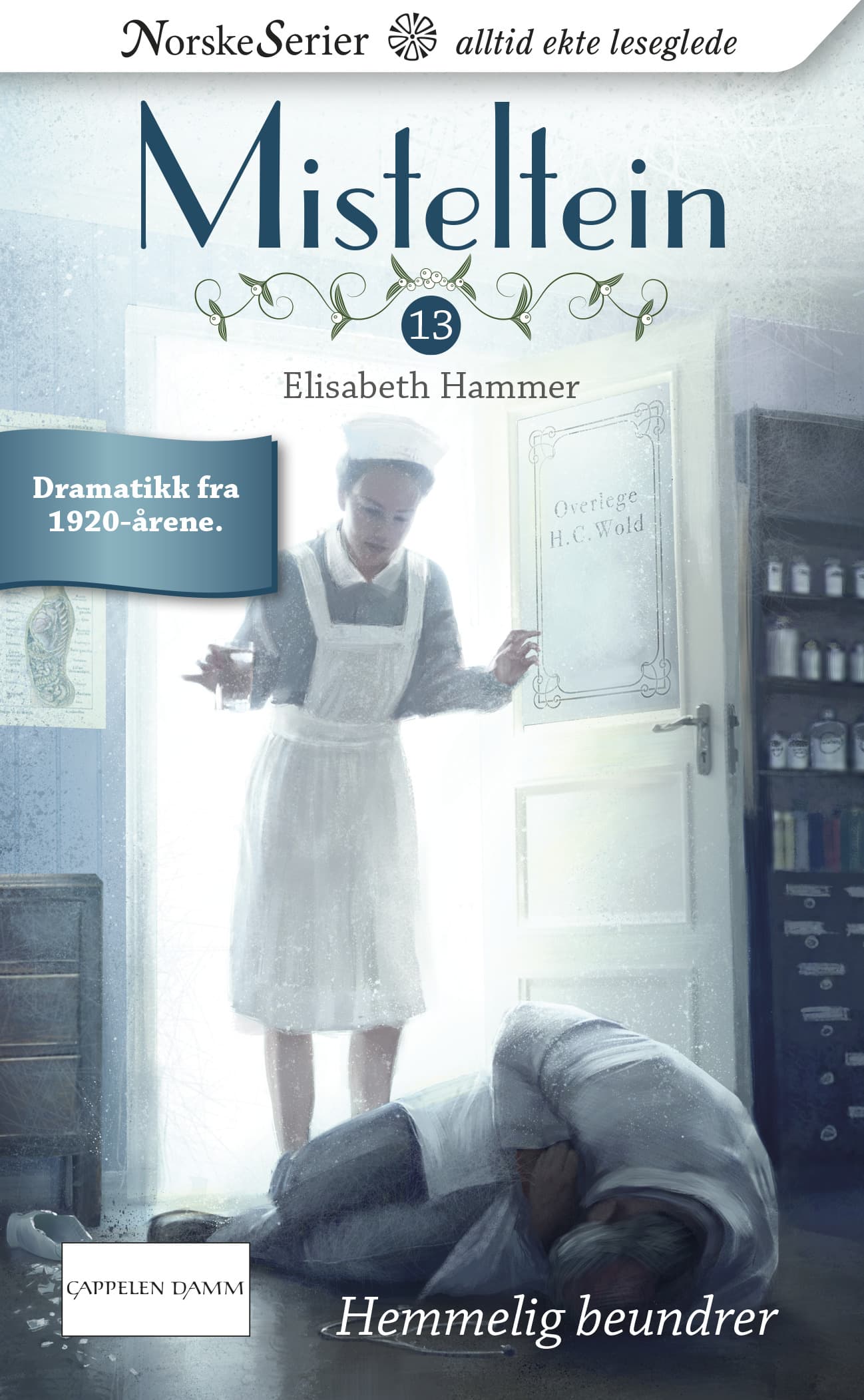 Omslag Hemmelig beundrer av Elisabeth Hammer (Ebok)