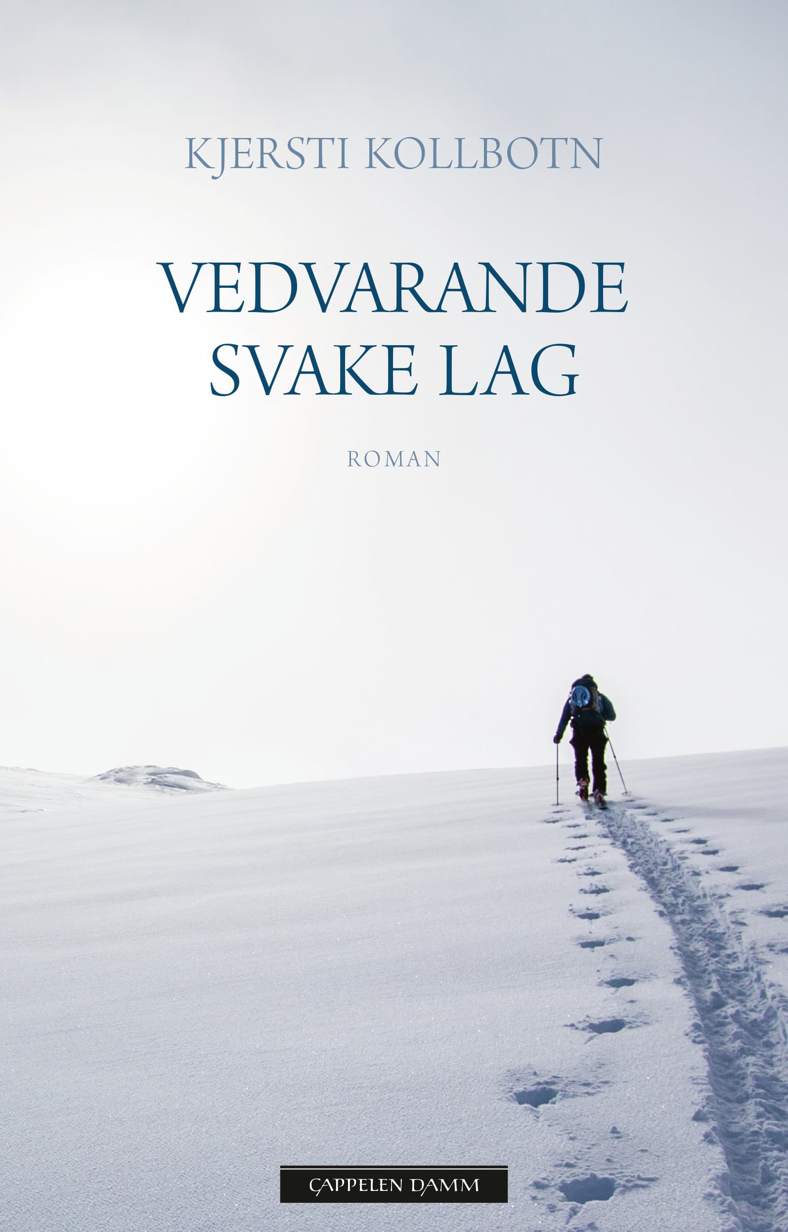 Omslag Vedvarende svake lag av Kjersti Kollbotn (Ebok)