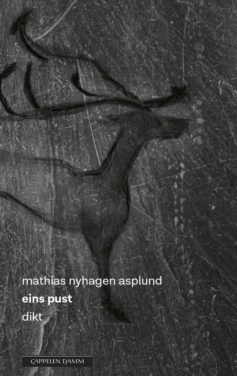 Omslag eins pust av Mathias Nyhagen Asplund (Ebok)