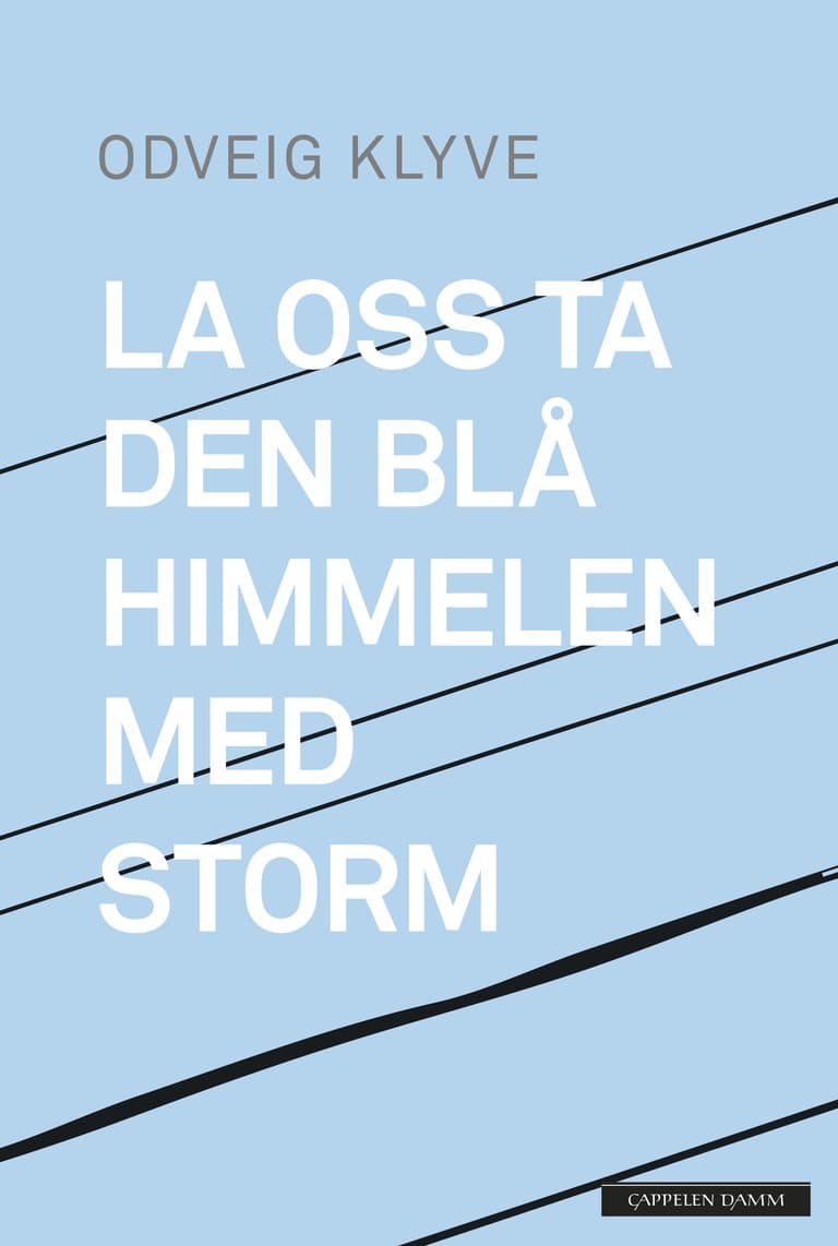Omslag La oss ta den blå himmelen med storm av Odveig Klyve (Ebok)