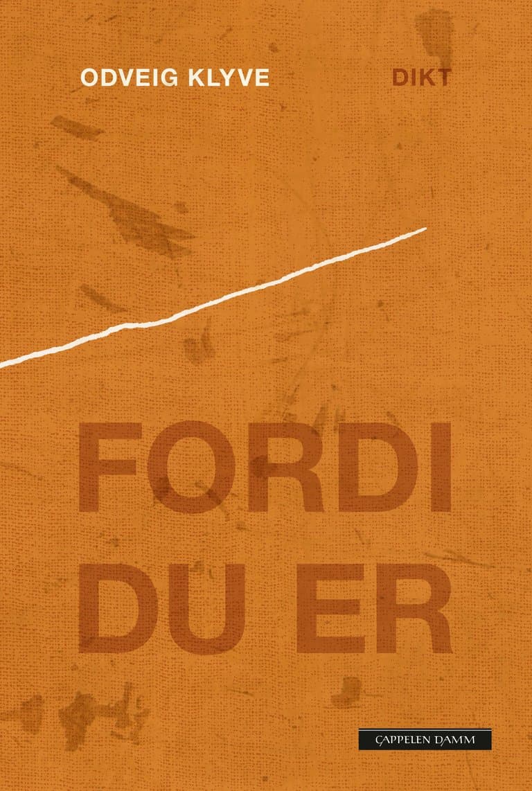 Omslag Fordi du er av Odveig Klyve (Ebok)