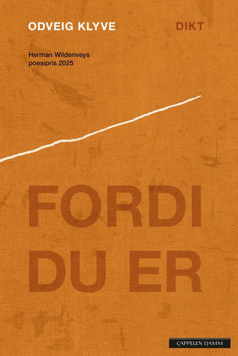 Omslag Fordi du er av Odveig Klyve (Heftet)