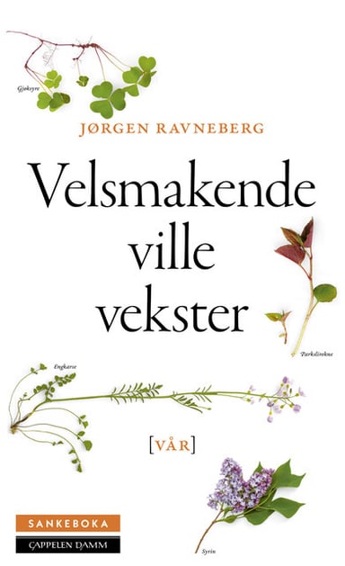 Omslag av "Sankeboka vår"