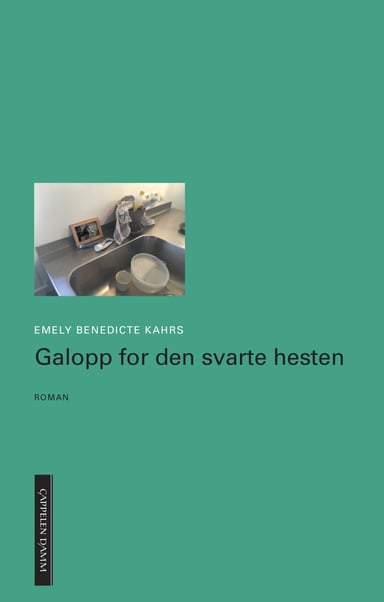 Omslag av "Galopp for den svarte hesten"