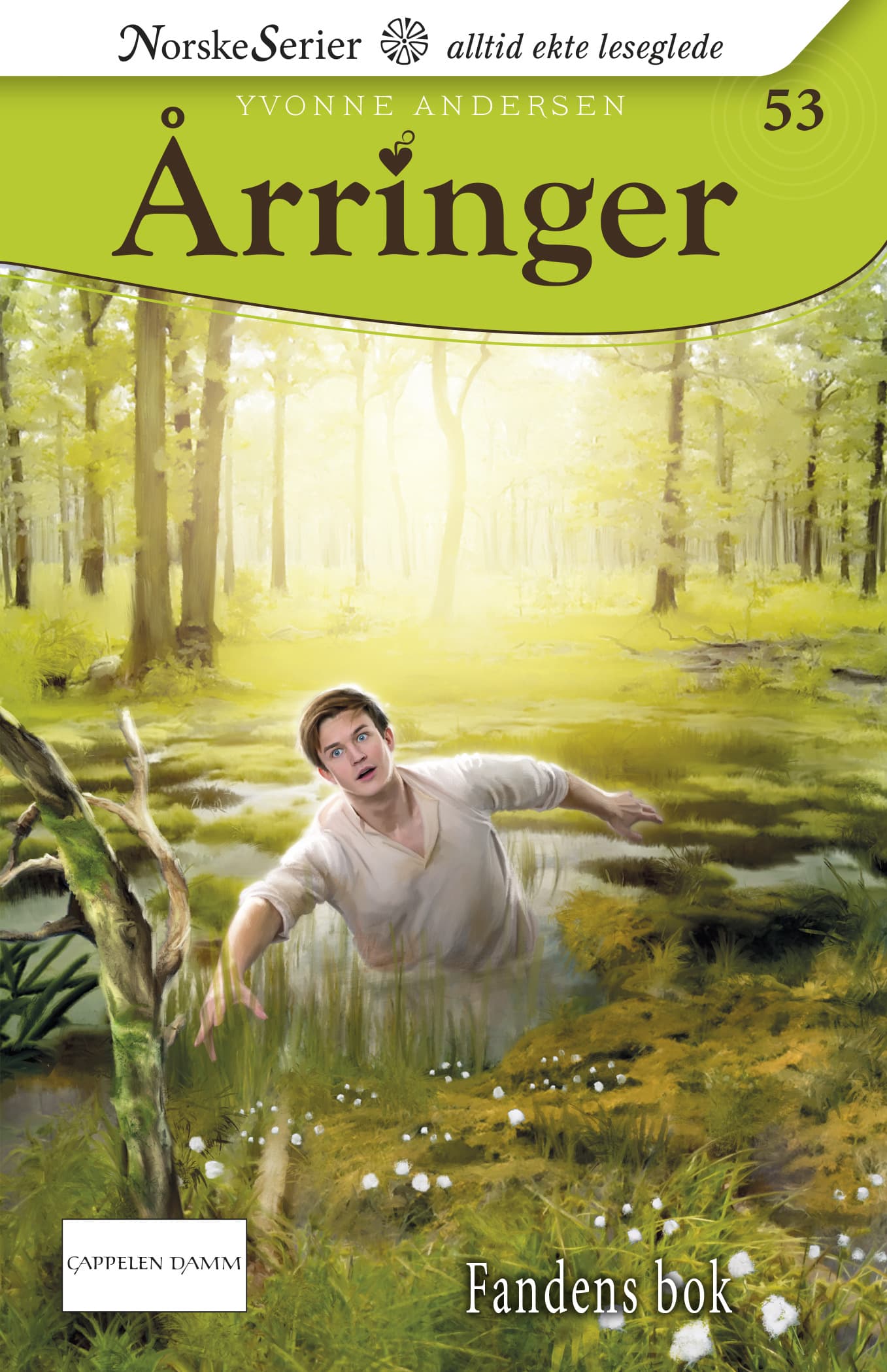 Omslag Fandens bok av Yvonne Andersen (Ebok)