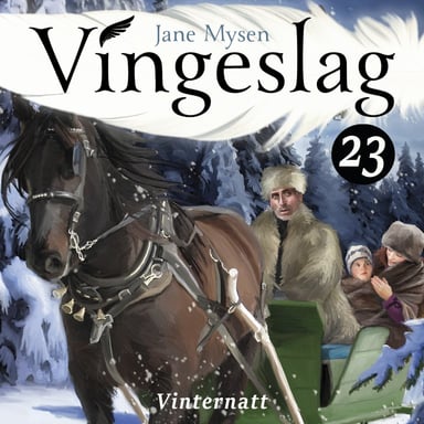 Omslag av "Vinternatt"