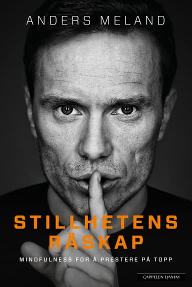 Stillhetens råskap