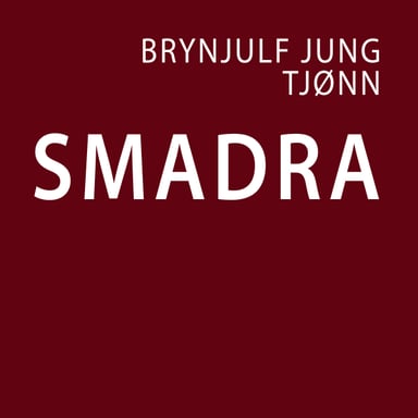 Omslag av "Smadra"
