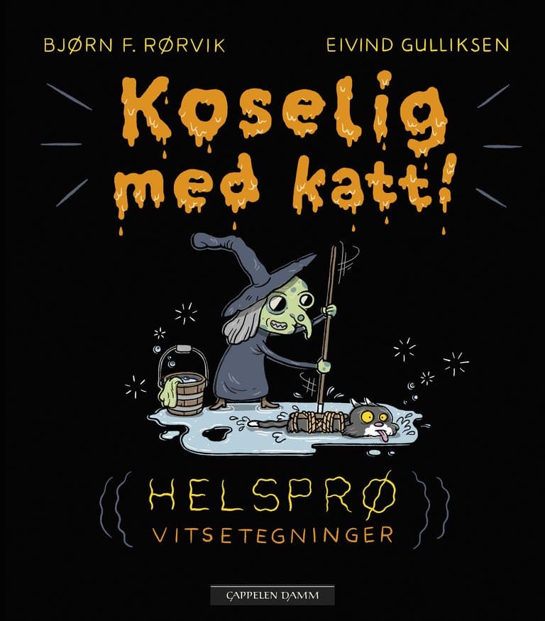 Omslag Koselig med katt av Bjørn F. Rørvik (Innbundet)