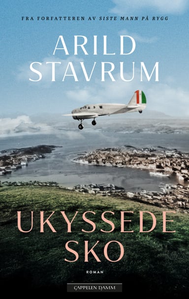 Omslag av "Ukyssede sko"